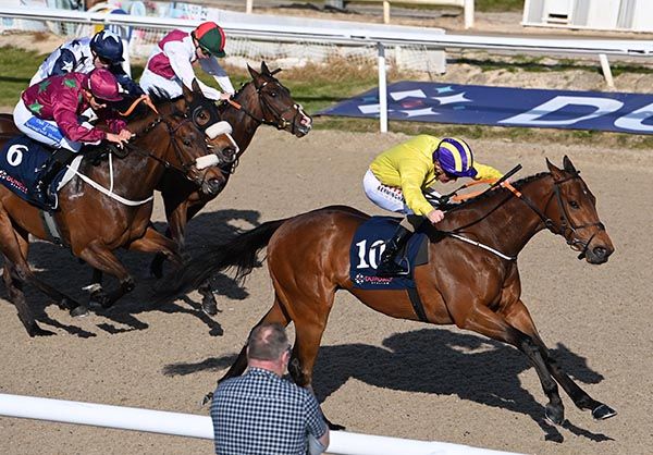 Boston Max and Chris Hayes