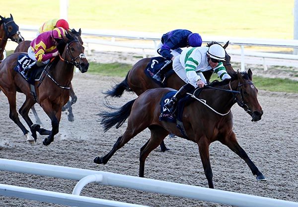 Queen Leila and Shane Kelly