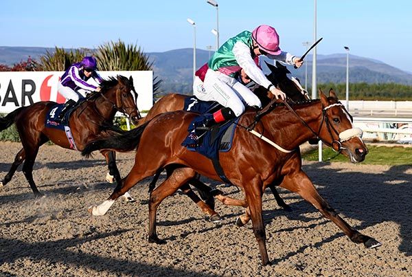 Bay Of Stars and Colin Keane