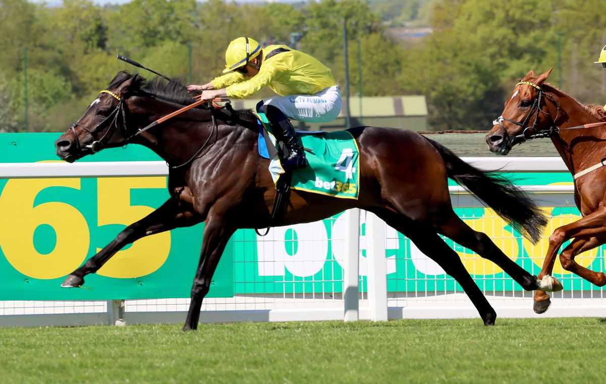 Saddadd and Ray Dawson approach the winning post
