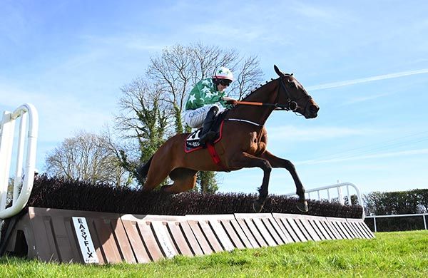 Chanceawetmorning clears the final flight