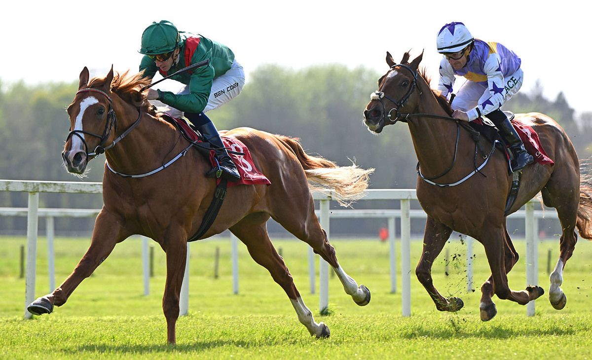 Tashakour and Ben Coen in the closing stages