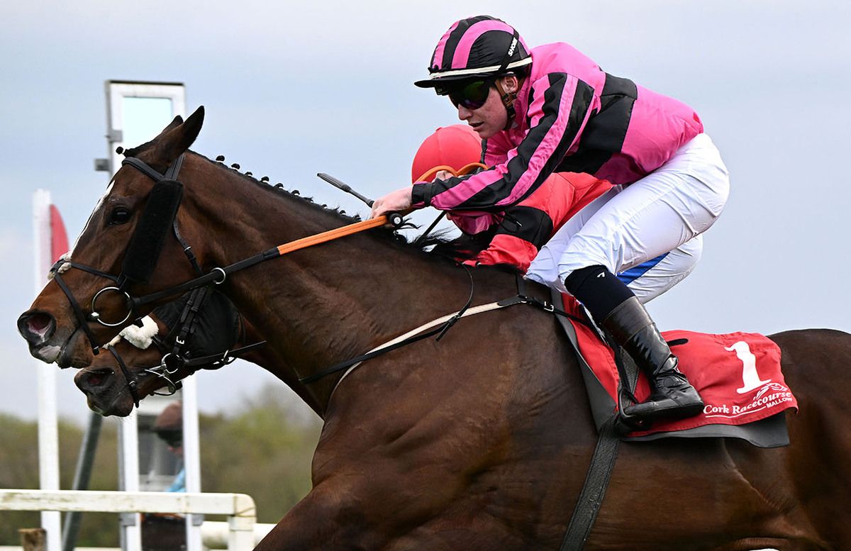 Buccaneer&rsquo;s Spirit and Sam Coen