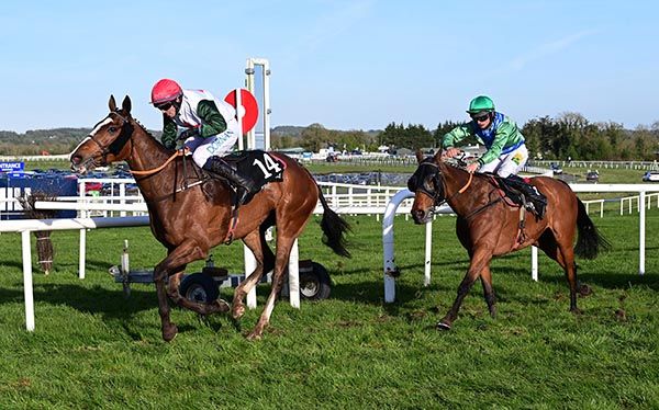 Mistyburn passes the winning post in front of stablemate Plain Or Battered