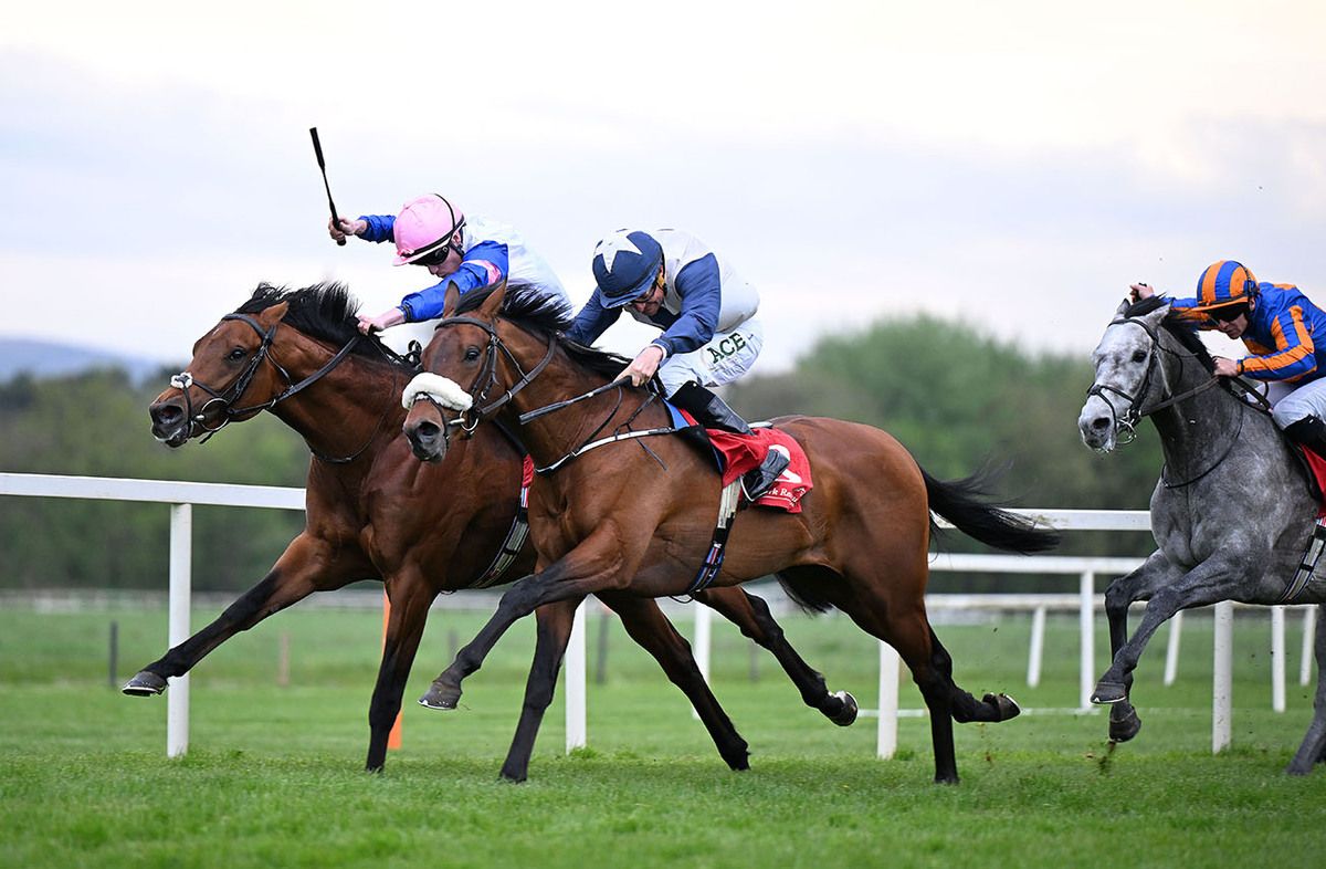 Limestone and Joey Sheridan (far side) with Mr Vettori