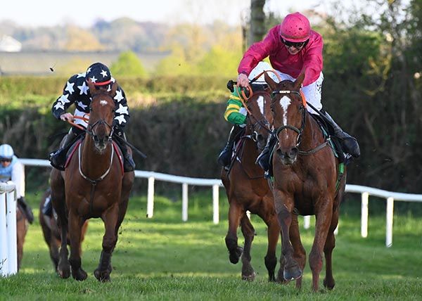 Tell Nobody Nothin (pink) finishes best