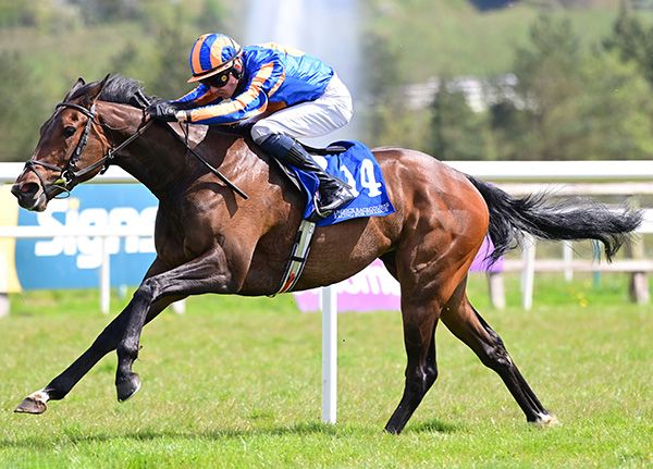 Signora and Jack Cleary