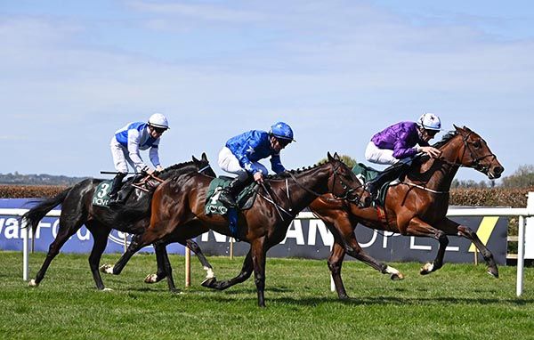 Tribeca leads them home