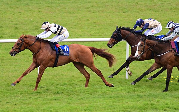 God Of Power and Andrew Slattery lead home their rivals