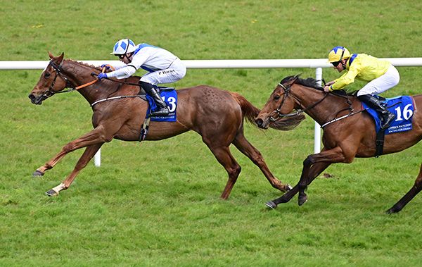 Queen Lioness and Paddy Harnett 