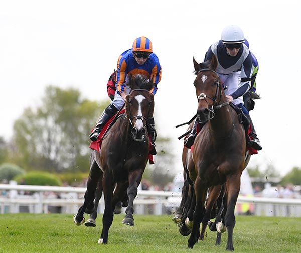 Scandinavia and Ryan Moore (left) 