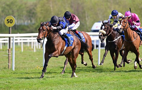 Electric Night and Declan McDonogh