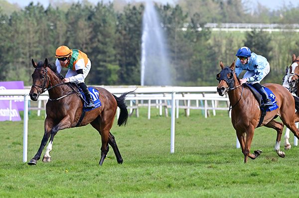 Monvoe and Leigh Roche lead home Amemri and Luke McAteer