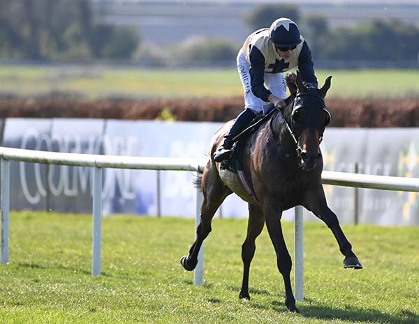 Obscenity and Joey Sheridan pictured on their way to an easy win