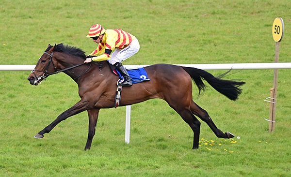 Chablis Rock and Declan McDonogh