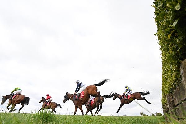 Fountain House and Rob james (right) give chase to the leaders 
