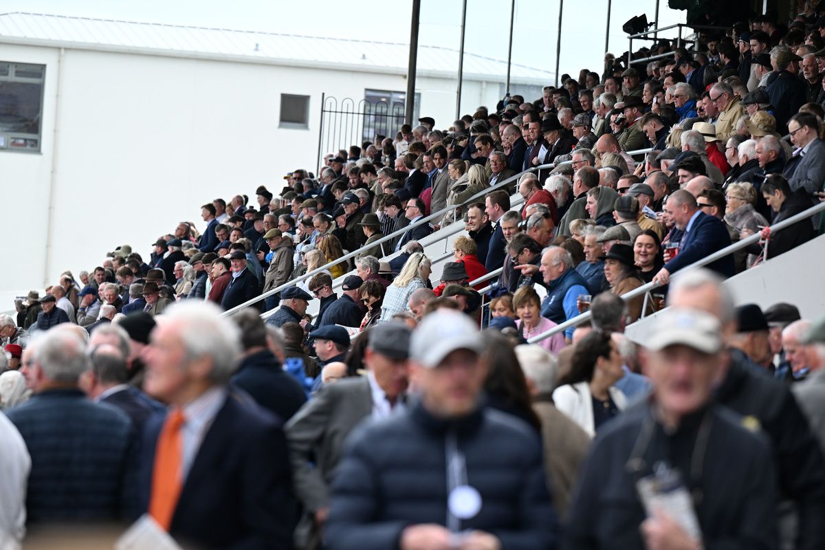 Punchestown 