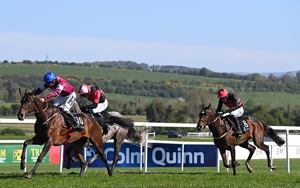 With Nolimit and Josh Halford win the race Stay Champion INH Flat race Grade 1