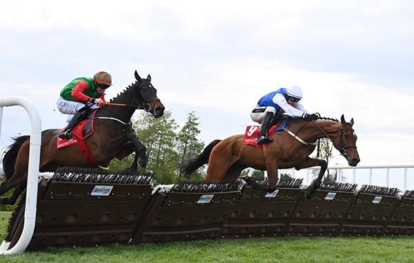 Beauvallon (right) and Danny Mullins
