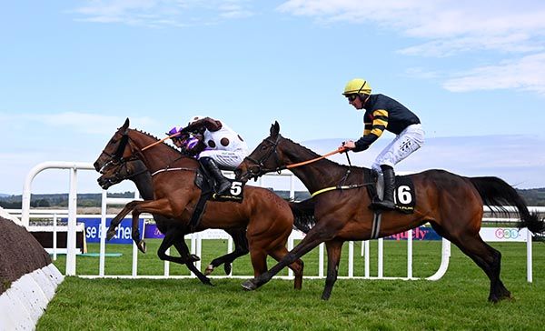 Blue Mosque (No.16) and Donagh Meyler