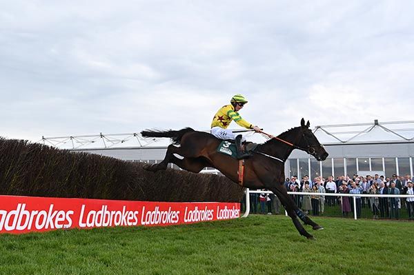 Come Walk With Me and Donagh Meyler