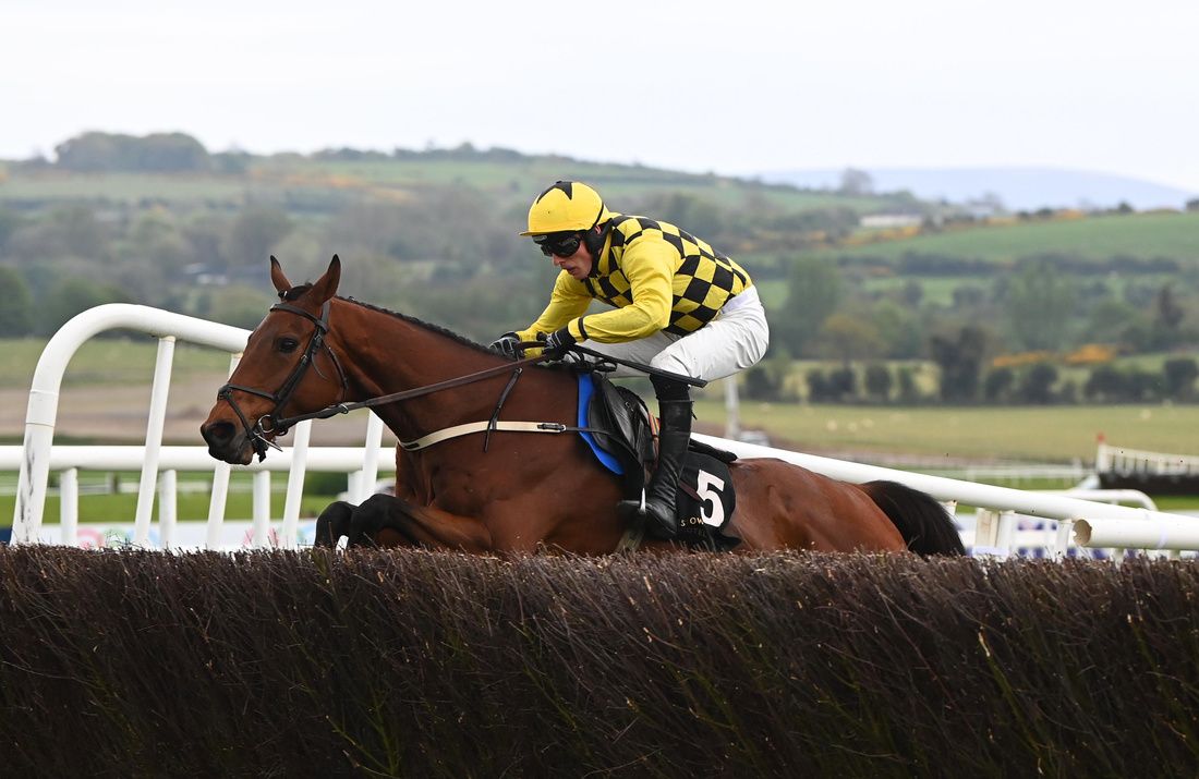 Salvator Mundi and Harry Cobden