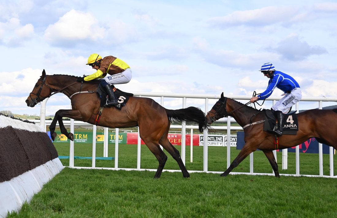 King Rasko Grey and Paul Townend 