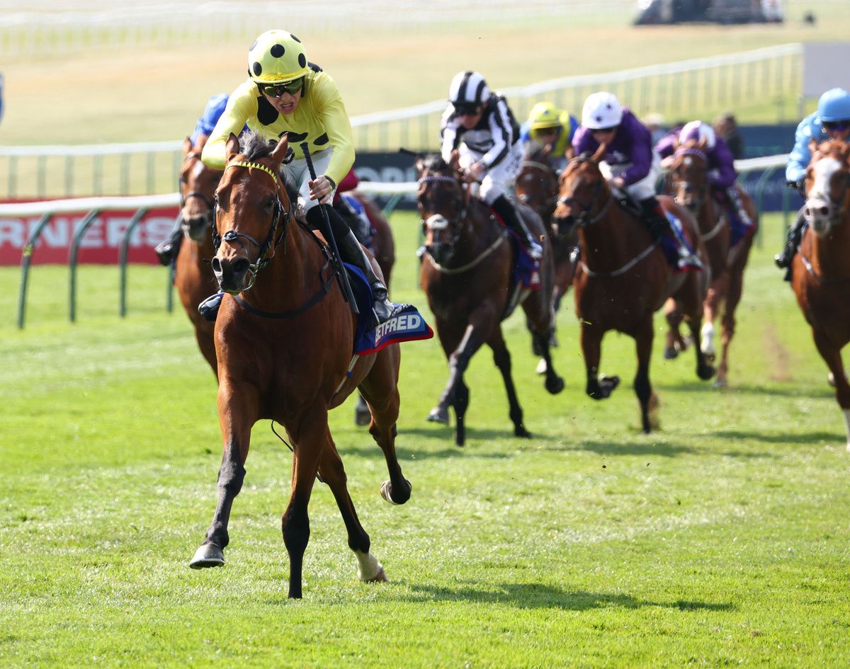 2000 Guineas winner Bow Echo will run at Royal Ascot 