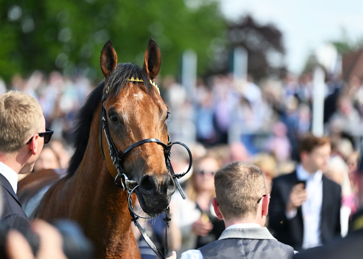 Newmarket 2-May-2026Bow Echo and Billy Loughnane win the 2000 Guineas for trainer George Boughey from Gstaad.Healy Racing