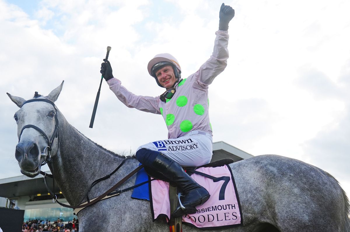 Punchestown 1-May-2026Lossiemouth and Paul Townend win the Champion Hurdle for trainer Willie Mullins.Healy Racing