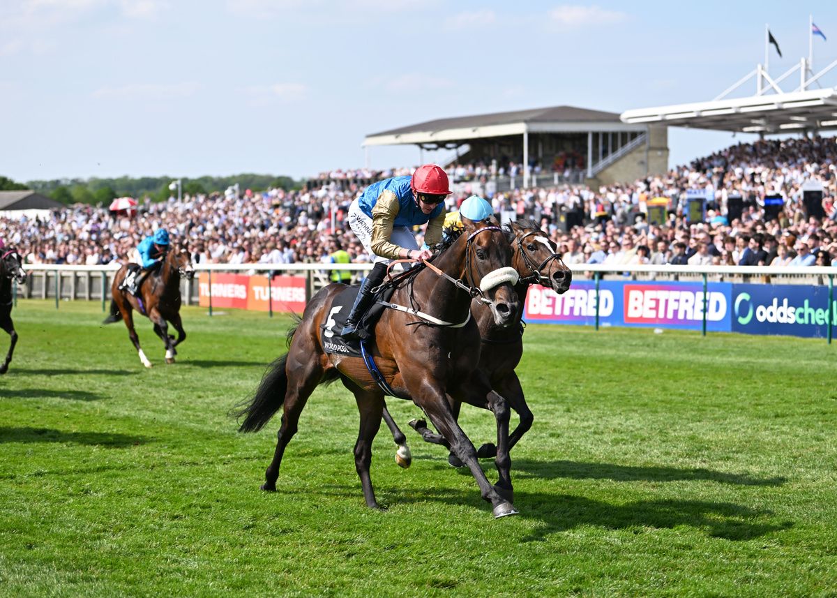 Night Raider may run in Temple Stakes prior to Royal Ascot bid 