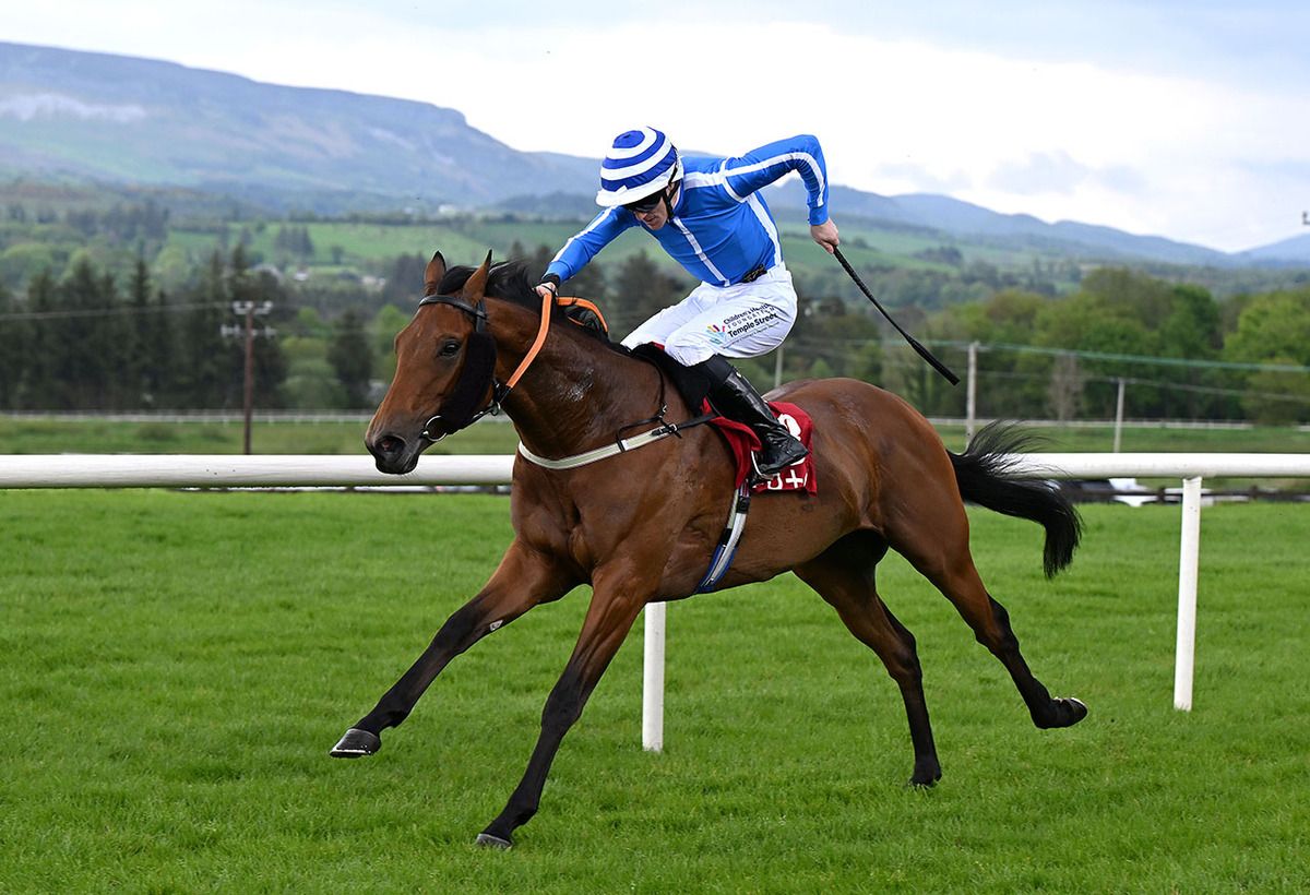 County Carlow and Billy Lee 