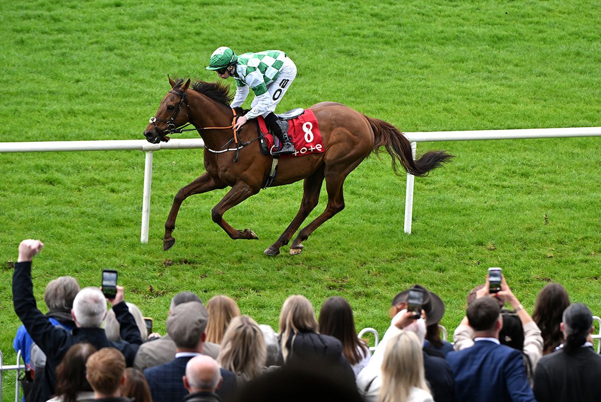 Desert Friend and Conor Cusack 