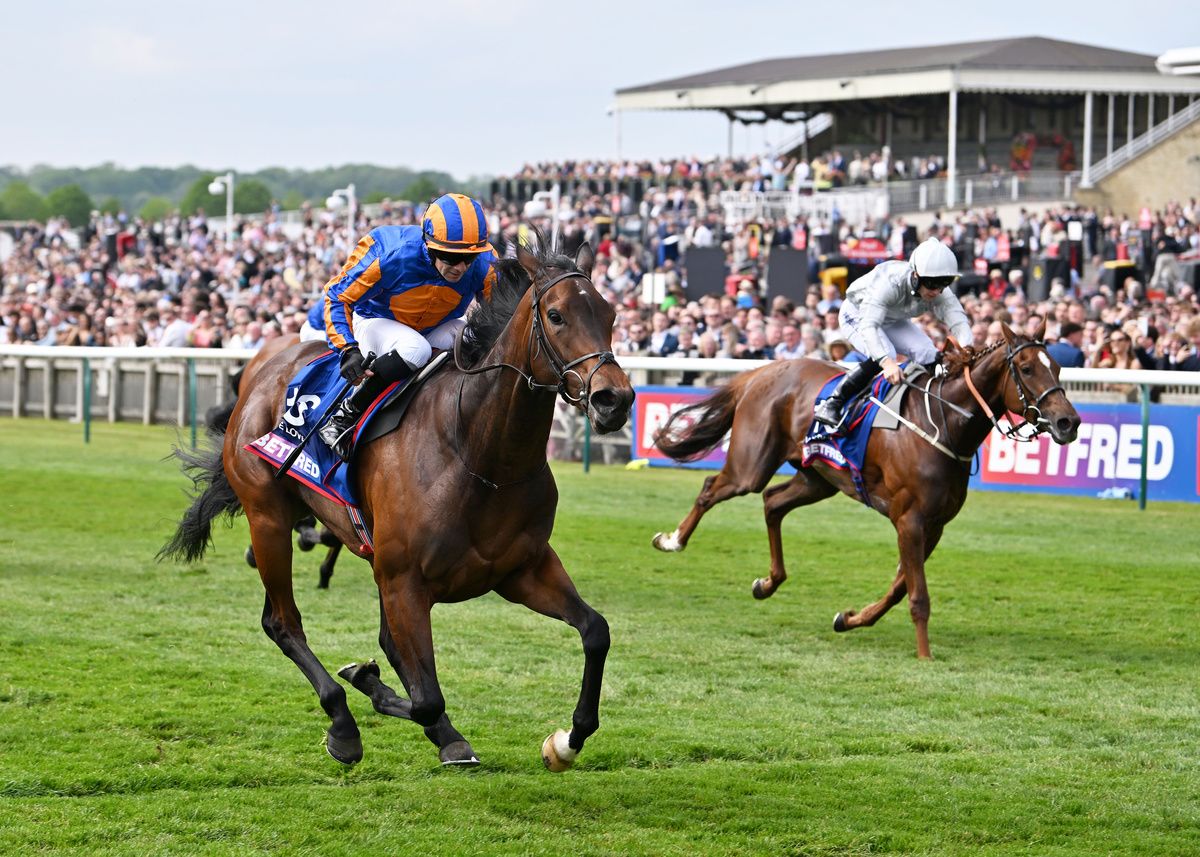 True Love and Wayne Lordan winning at Newmarket