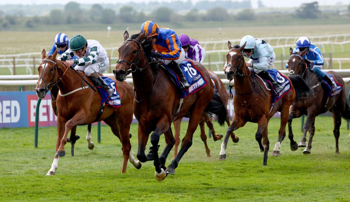 Evolutionist (green cap) chasing home True Love at Newmarket