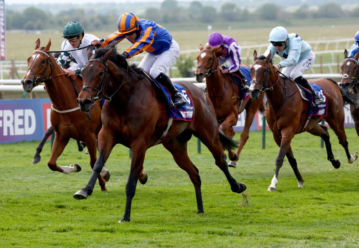 Evolutionist could be set for French foray after Guineas run