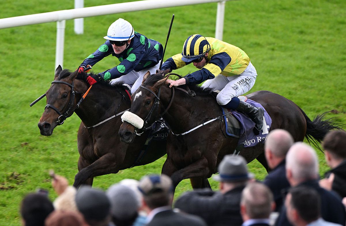 Metamorpheus and Jamie Orr (white cap) beat She's Ideal (nearest)