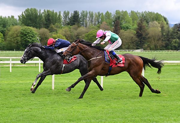 Atomic City and Dylan Browne McMonagle (far side), with Abbotsford