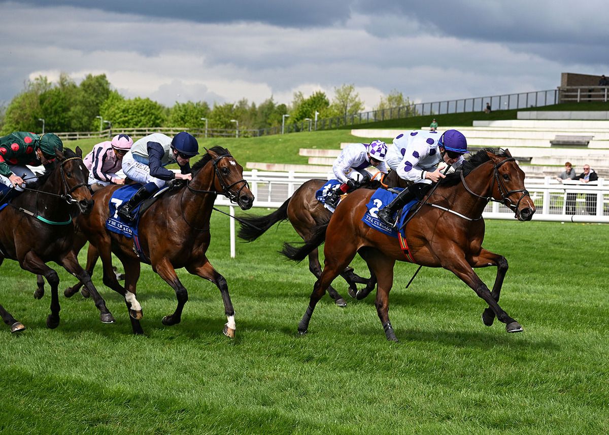 Immortal Guard and Donagh O'Connor lead them home