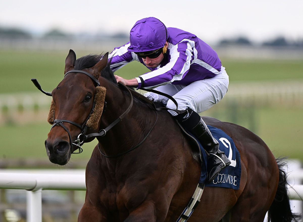 Causeway and Ryan Moore 