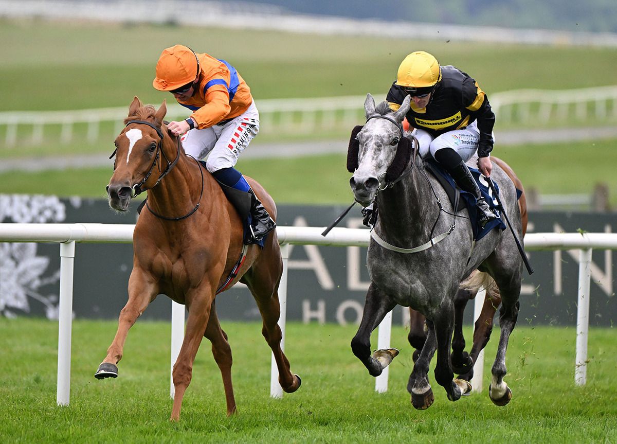 Kensington Lane and Chris Hayes (left) beat Black Caviar Gold 