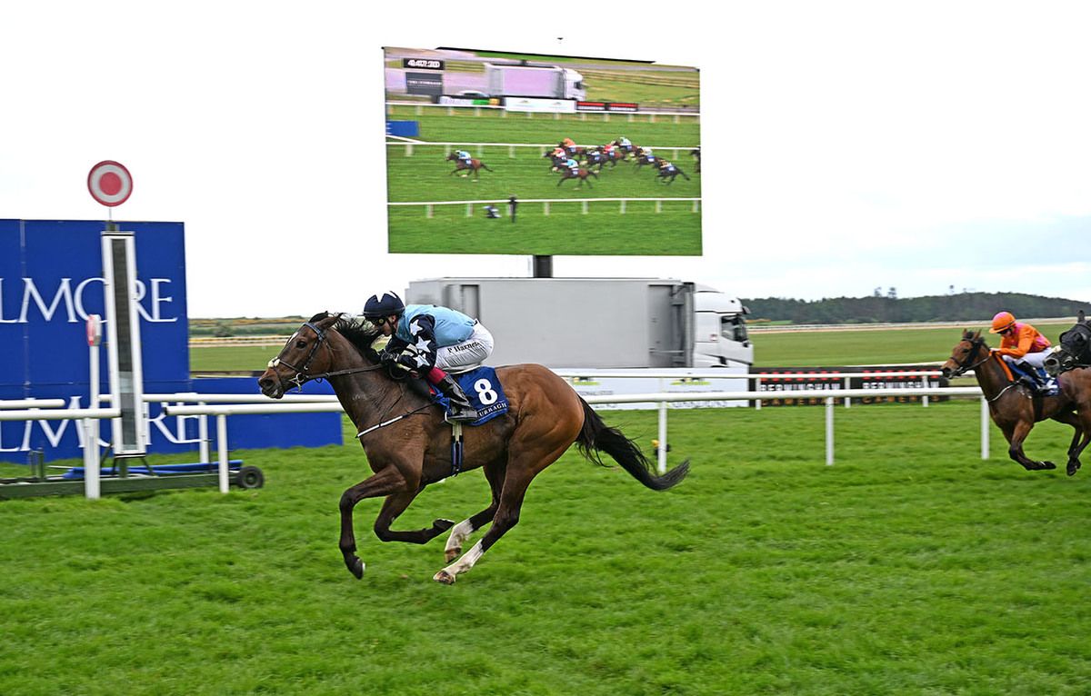 Summer Island and Paddy Harnett 