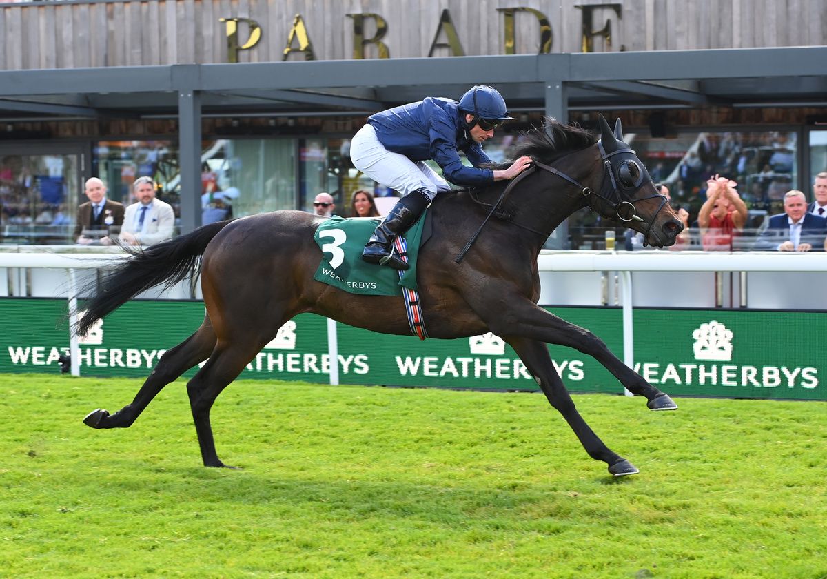 Amelia Earhart and Ryan Moore 