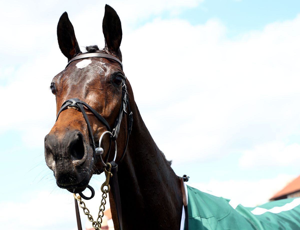 Chester 6-May-2026Amelia Earhart and Ryan Moore win for trainer Aidan O'Brien.Healy Racing