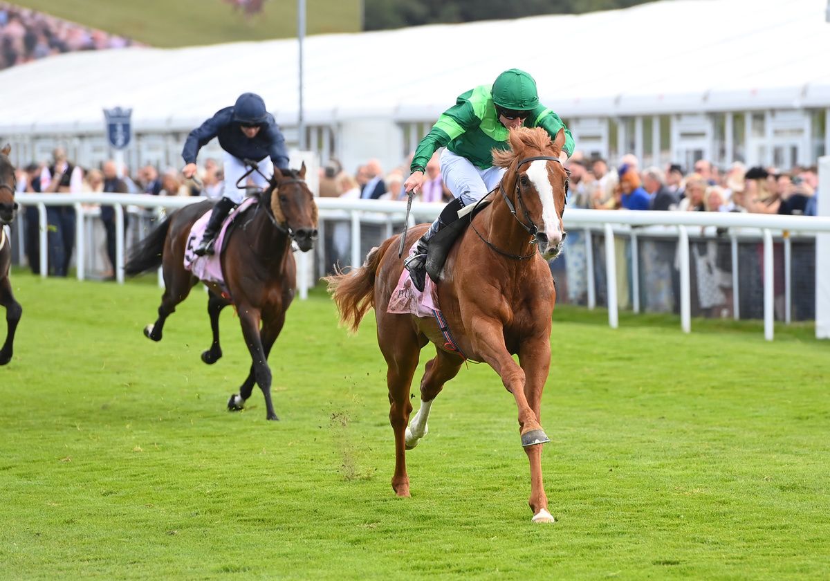 Chester 6 May 2026 Benvenuto Cellini and Ryan Moore win for trainer Aidan O Brien 