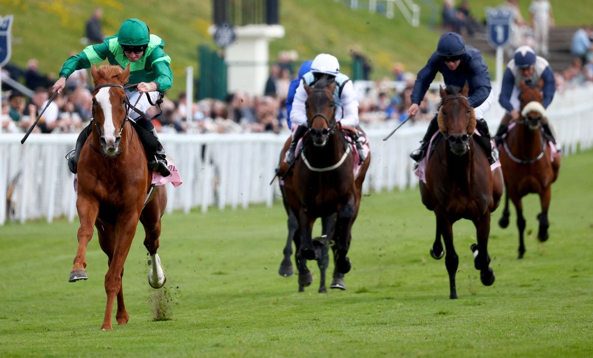 Benvenuto Cellini and Ryan Moore (left)