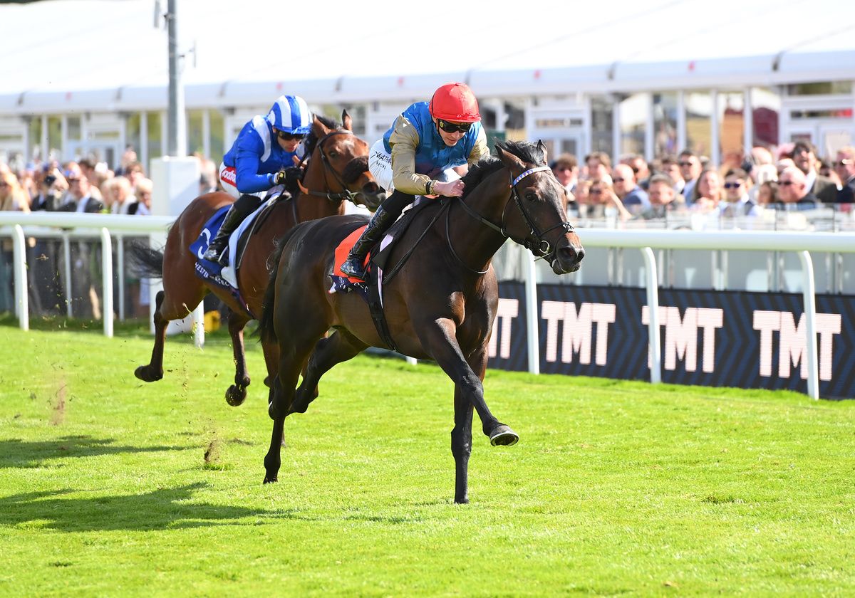 Tornado Tower and James Doyle 