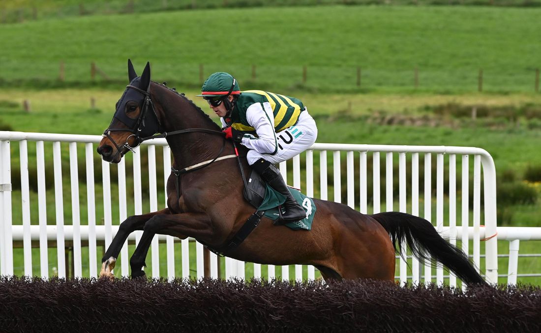 Endless Talking and Keith Donoghue well clear at the last