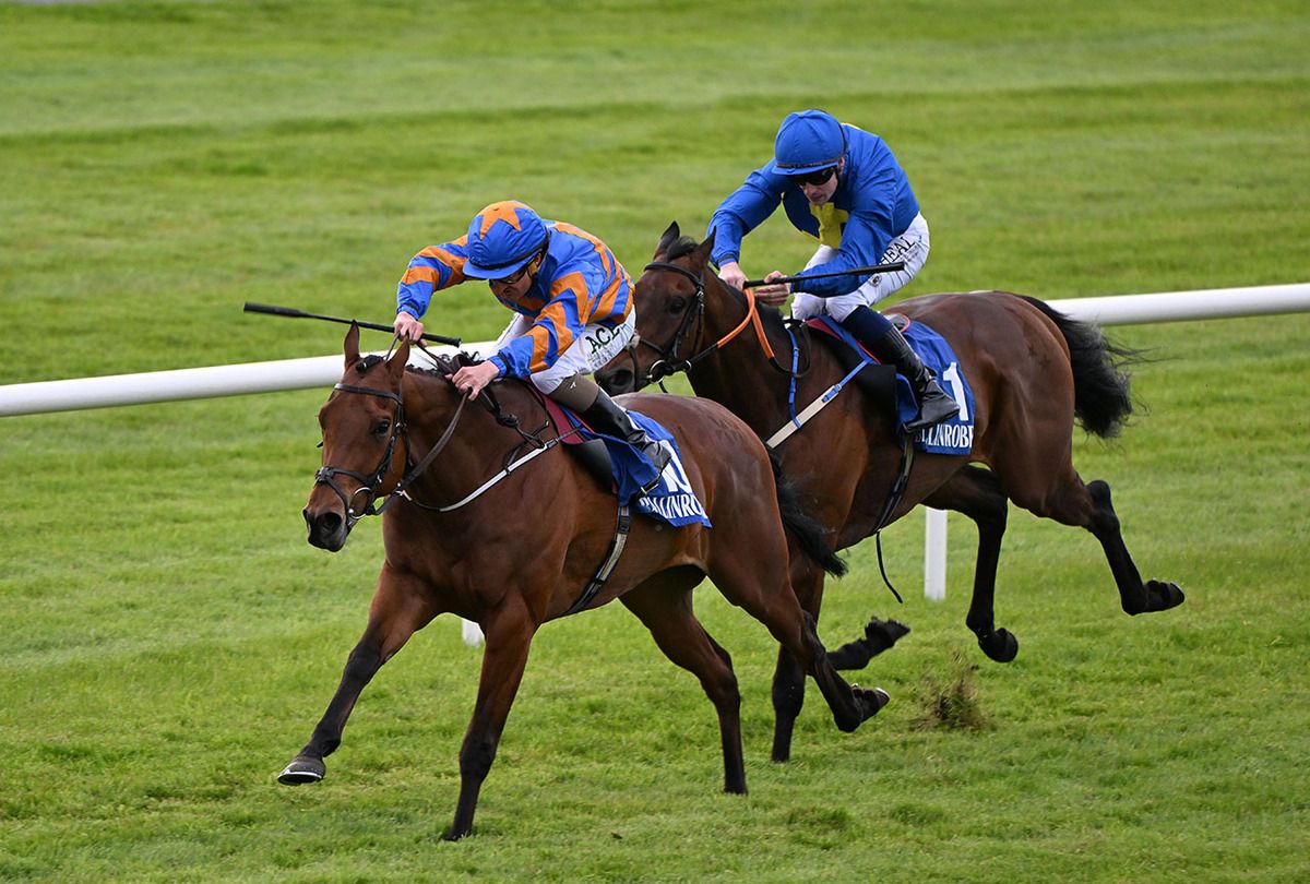 Tero D'Rosa and Shane Foley
