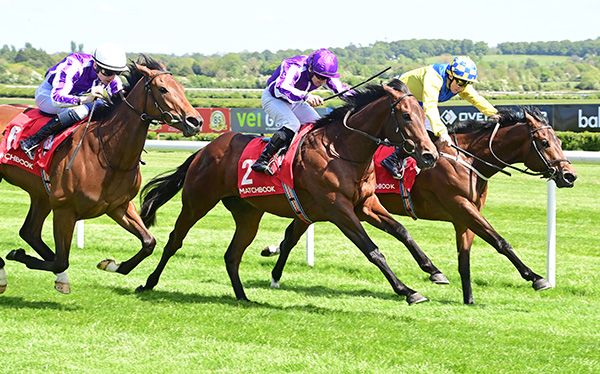 Carry The Flag (purple cap)